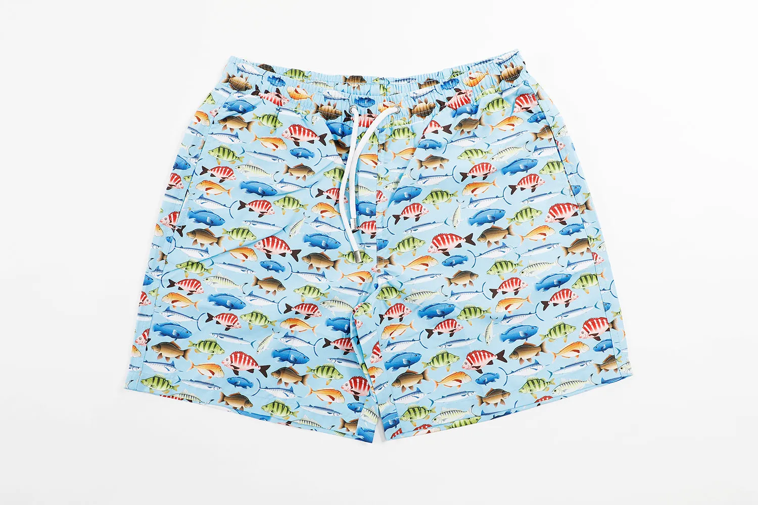 Blue with Multicolor Fish
